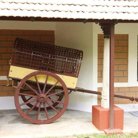 'Vrindavan' In Heritage City Mysuru Exterior foto
